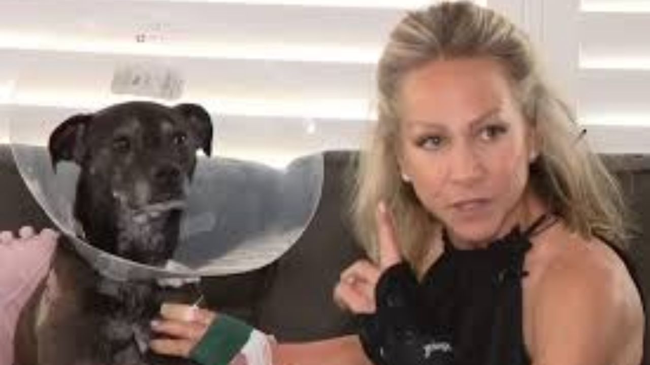 Florida Woman Leaps on 6-Foot Alligator to Save Her Dog During Lake ...